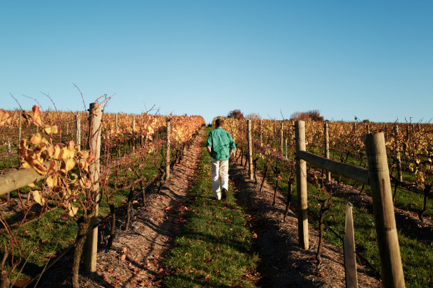 Nick Farr of 2022’s top winery, Wine by Farr.
