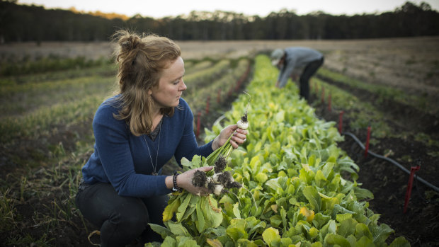 Erika Watson inspects some of the  organically grown vegetables on their property.