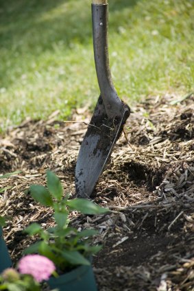 Almost all aspects of soil life can be improved with mulch.