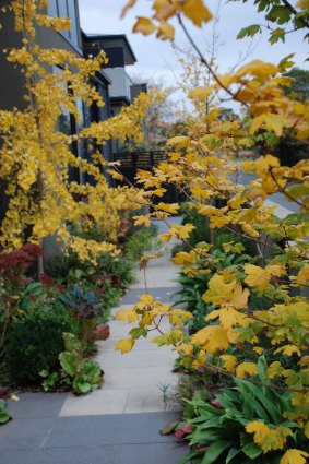 Now is the time to transplant any deciduous shrubs you feel are in the wrong place.