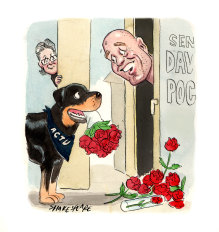 Roses over rottweilers: David Pocock’s office has been inundated with flowers after a campaign by the ACTU.