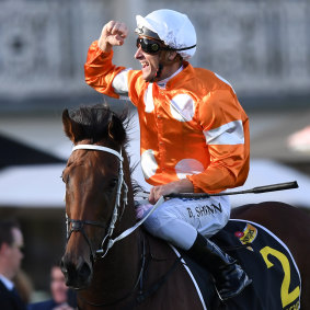 I'll drink to that: Blake Shinn returns with Who Shot Thebarman after winning the Sydney Cup.