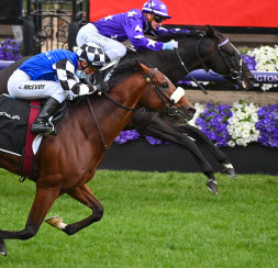 Ashrun wins his way into the 2020 Melbourne Cup in the Hotham Handicap.