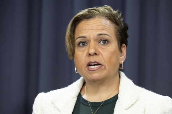 Communications Minister Michelle Rowland says a final misinformation bill will be introduced to parliament in the first half of next year.