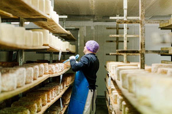 Milawa Cheese Co. offers some of Australia's best cheeses, from Aged Milawa Blue to epic hard-shell tomme.