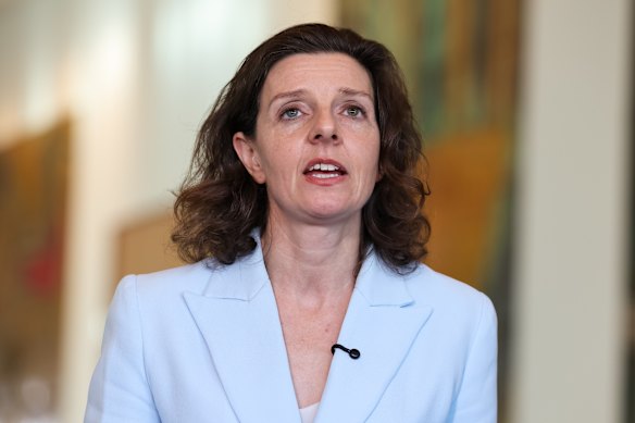 Wentworth MP Allegra Spender.