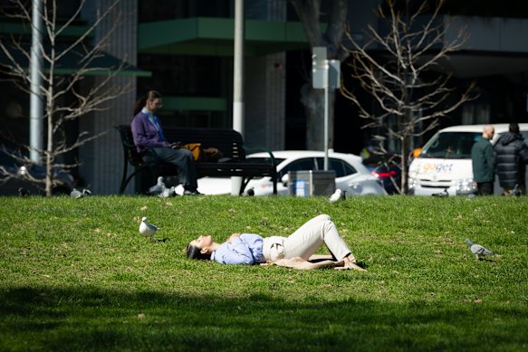 A person enjoying the balmy weather at Flagstaff gardens on Monday.