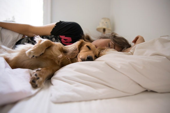 No matter how large the bed, a sleeping pet will – without appearing to move a muscle – claim more and more of its surface as the night passes