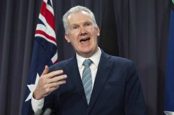 Home Affairs Minister Tony Burke.
