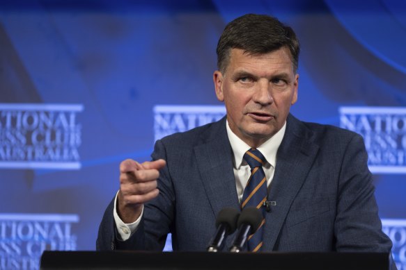 Shadow Treasurer Angus Taylor at the National Press Club in Canberra on Wednesday.