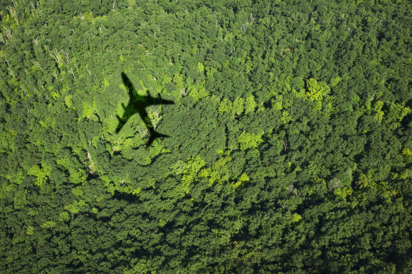 Anew Climate, which counts TPG Capital as a major shareholder, had invested nearly $1 billion for carbon abatement projects in developing countries. 