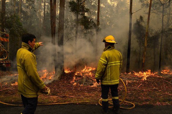 Firefighters contain a blaze on Sunday beside the Princes Highway between Nowra and Batemans Bay on NSW's South Coast.