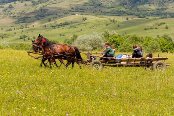 The locals still get about on horse-drawn carts.