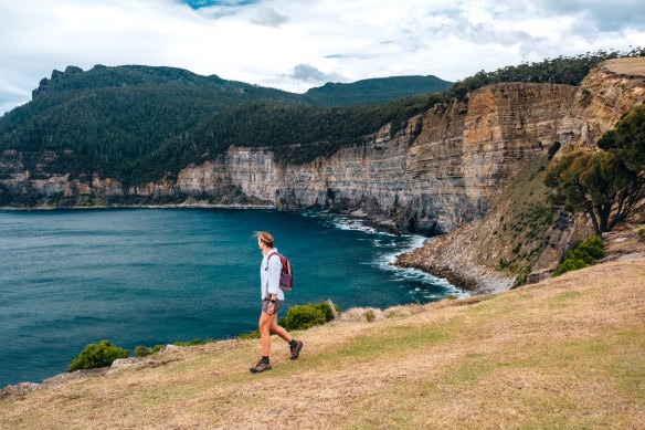 Maria Island has an abundance of wildlife, including one of the healthiest populations of Tasmanian devils.
