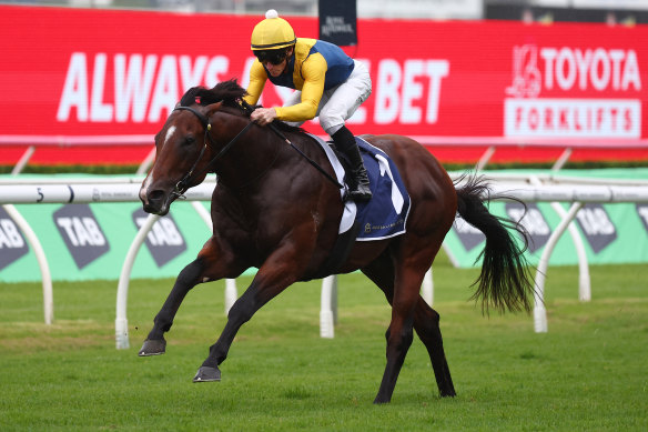 Golden Slipper favourite Storm Boy takes out the Skyline Stakes to keep his perfect record.