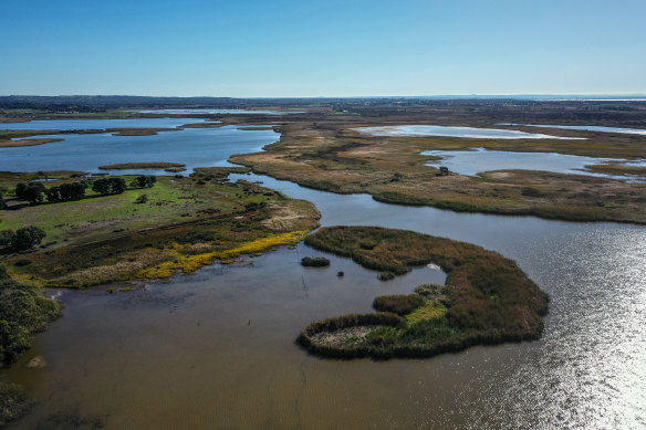 The state game reserve wetlands at Lake Connewarre on the Bellarine Peninsula.