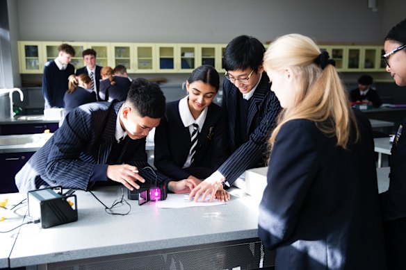 Former students at Rosebank College, which is in high demand for places.