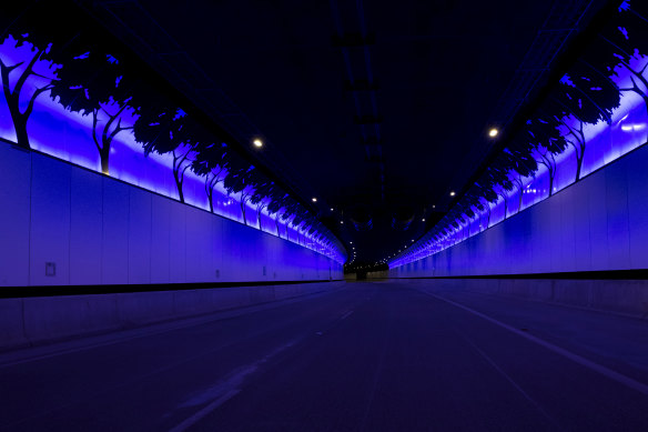 Lighting displays featuring native birds and trees are dispersed throughout the tunnel.