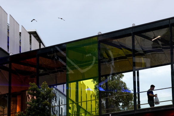 Rainbow lorikeets are failing to see the clear glass panels of the bridge, which now sits over their habitat. 
