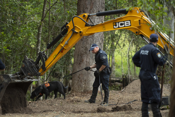 Investigators started digging in an area 1km from William Tyrrell’s fother grandmother’s house. 