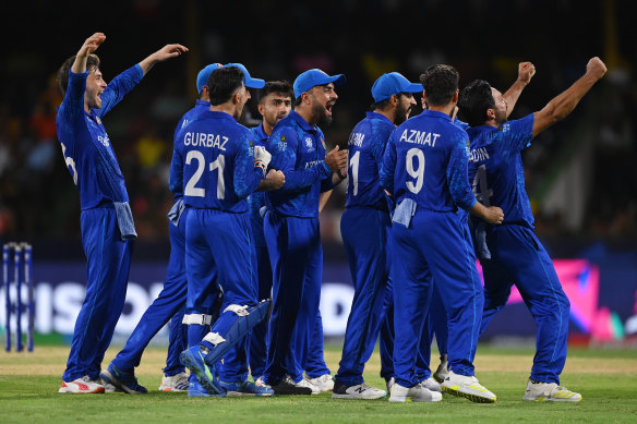 Afghanistan celebrate a wicket.
