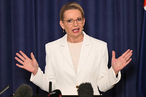 Liberal leader Sussan Ley during a press conference on Tuesday.