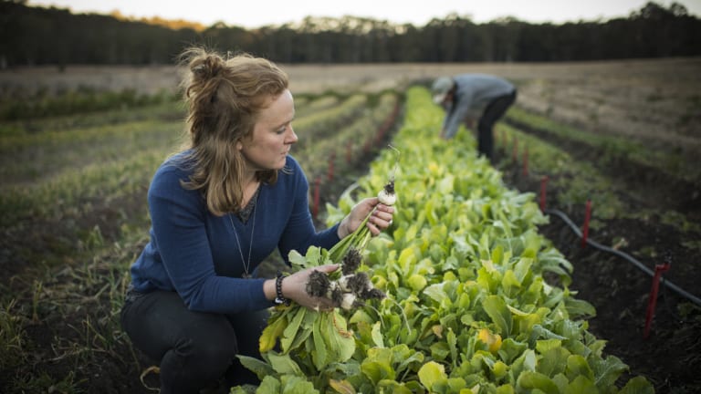 Erika Watson inspects some of the  organically grown vegetables on their property.