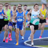 Peyton Craig in an 800 metres heat at the 2024 national championships. Part of a new, deep pool of local middle distance talent, the 19-year-old finished third in the final, just behind Olympic hero Peter Bol.