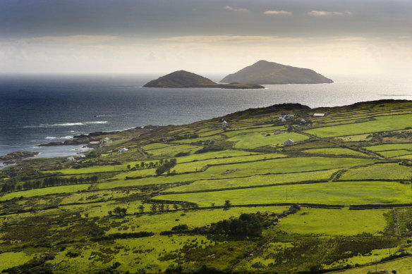 Pasturelands fold into the North Atlantic along the Ring of Kerry, on Ireland’s west coast.