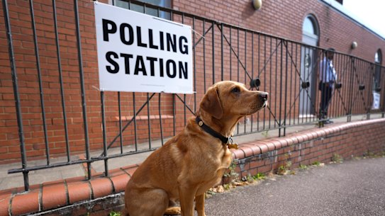 A dog sits outside a polling station in London during the last UK election. Just over 48 million people were eligible to cast a ballot, while there are about 1.6 million 16 and 17-year-olds.