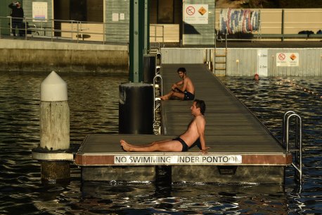 Morning swimmers at Dawn Fraser Baths.