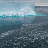 A huge iceberg broke off Antarctica. What scientists found under it stunned them