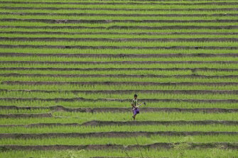 A terrace farm in the largely poor Shan State in Myanmar.