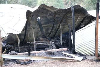 Police said 11 people were taken to hospital following the blaze. 