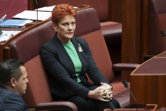 Pauline Hanson in the Senate on Thursday.