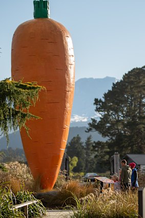 Ohakune and its big carrot.