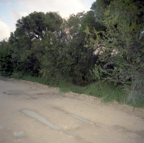 A photograph of Woolcoot Road, Wellard, where Jane's body was found.