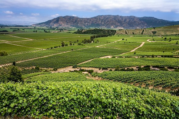 The Colchagua Valley near Santiago.