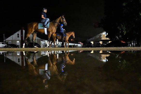 Horses head to the track for a workout at Churchill Downs in Louisville, Kentucky.