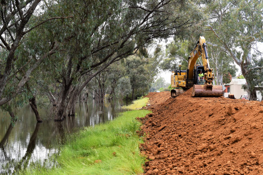 The Campaspe Shire mayor says without the levees, much of the town’s CBD and broader residential areas could be lost.