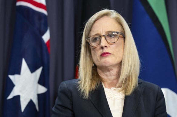 Finance Minister Katy Gallagher says the Indigenous Affairs minister’s comments on the Voice are reasonable. 