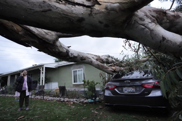 Maura Taura outside her home next to a downed tree in Sun Valley.