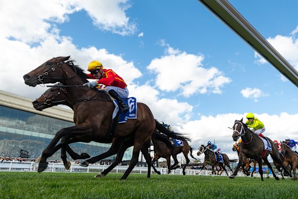 Transatlantic wins the Toorak Handicap at Caulfield during an impressive campaign.