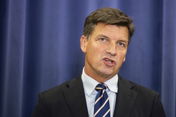 “A drover’s dog can deliver a budget surplus this year,” says shadow treasurer Angus Taylor.