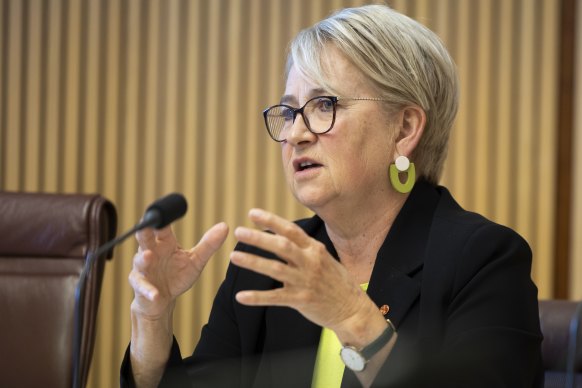 The Senate backed Barbara Pocock’s order for the tax office and federal police to produce all correspondence related to their failure to launch a criminal investigation into the PwC tax scandal in 2018. 