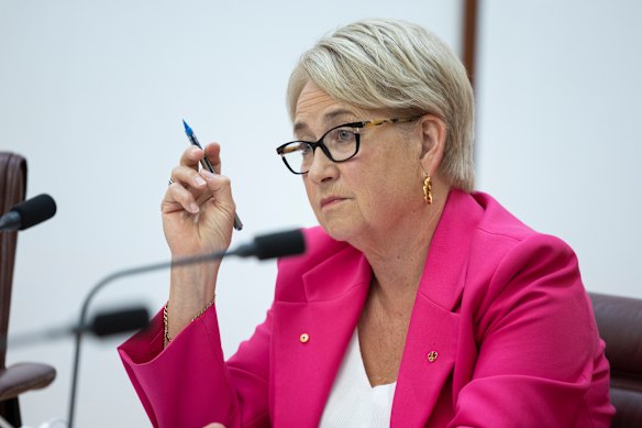 Greens’ housing spokesperson Barbara Pocock says Treasurer Jim Chalmers should force APRA to introduce macroprudential rules.