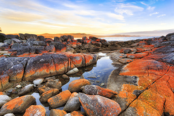 Explore iconic walks, like Bay of Fires, responsibly.