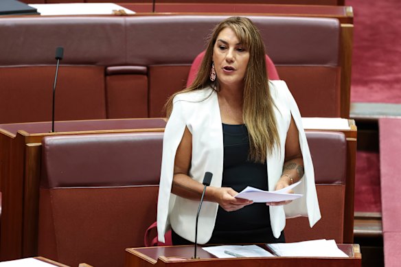 Senator Lidia Thorpe accuses Labor of scoring political points
