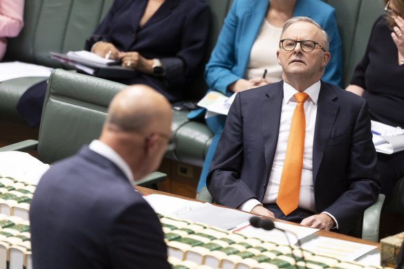 Prime Minister Anthony Albanese during question time this week.