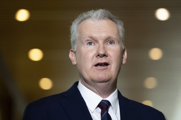 Workplace Relations Minister Tony Burke says banning the importation of engineered stone could greenlight a domestic production industry.